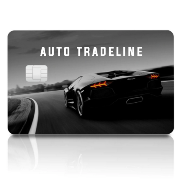 Auto Tradeline - $100,000 Credit Line